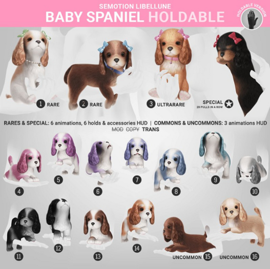 SEmotion Libellune Baby Spaniel Holdable COMMON 08