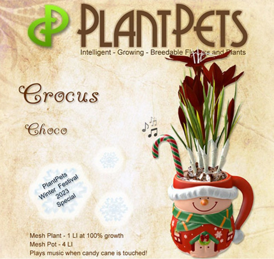 PlantPet Seed [Crocus *Choco*]