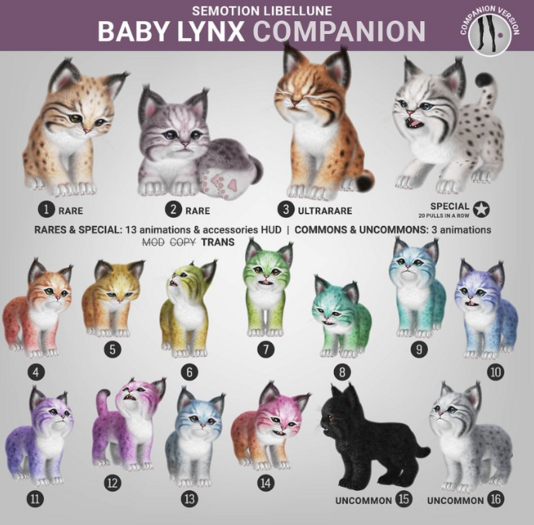 SEmotion Libellune Baby Lynx Companion COMMON 14