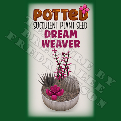 Potted: Succulent Plant Seed: Dreamweaver (ACTUAL PLANT SEED) - Retired!