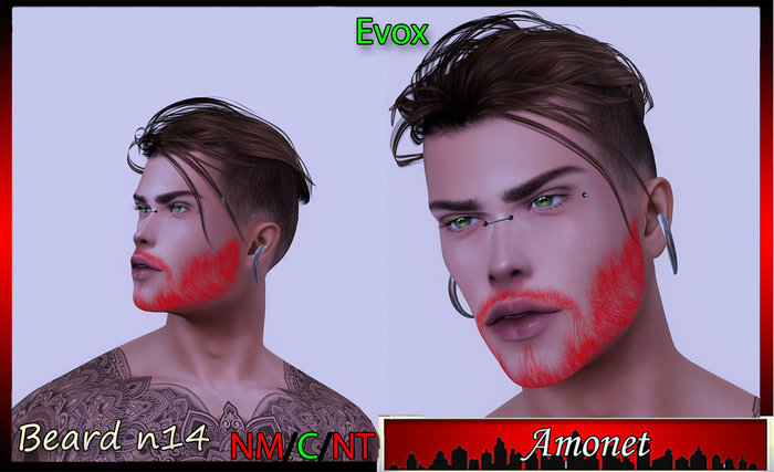 BEARD N14 - EVOX 