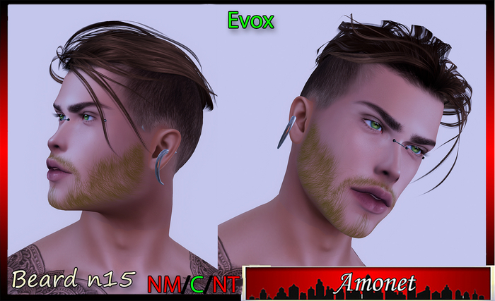 BEARD N15 - EVOX 