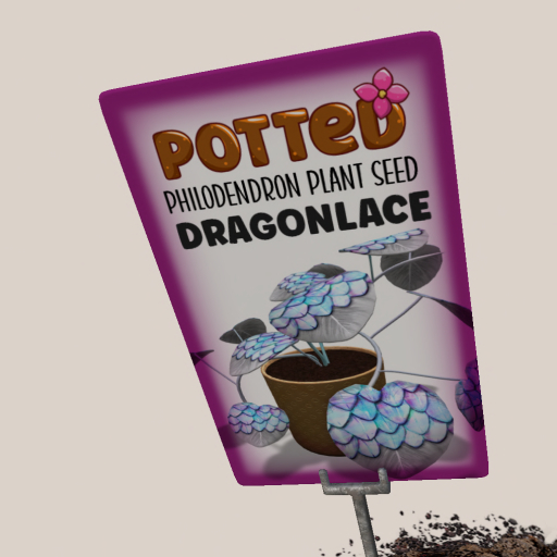 Potted: Philodendron Seed: Dragonlace