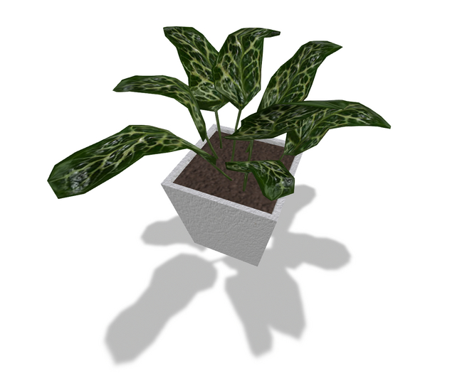 Tropical Medium House Plant with Shadow