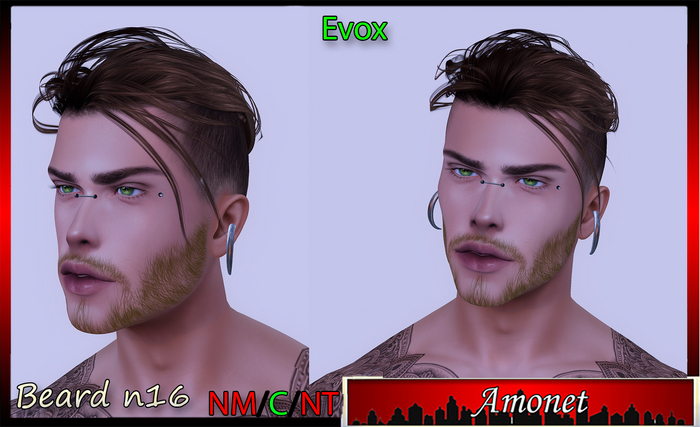 BEARD N16 - EVOX 
