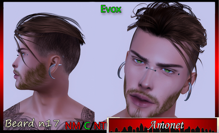 BEARD N17 - EVOX 