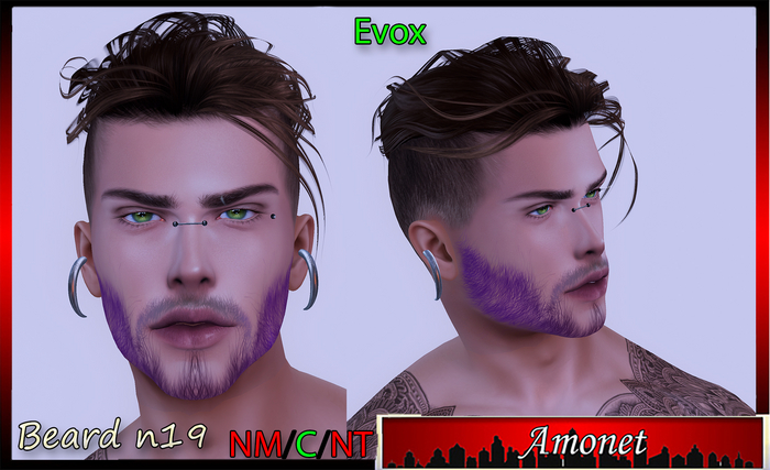 BEARD N19 - EVOX 