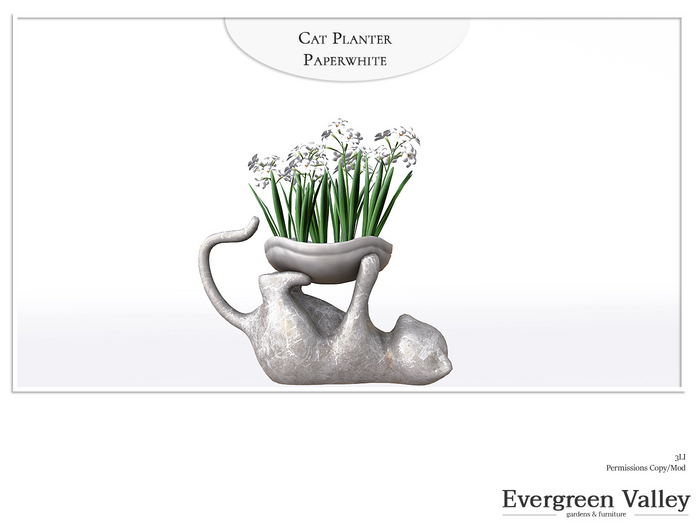 Cat Planter Paperwhite