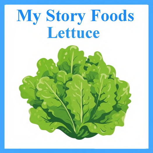 MyStory Lettuce x 25