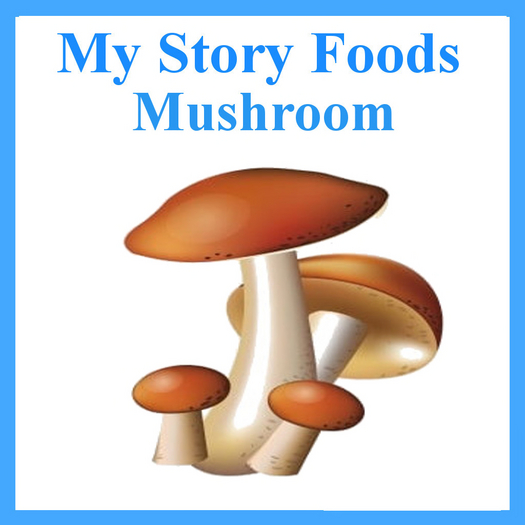 MyStory Mushroom x 25