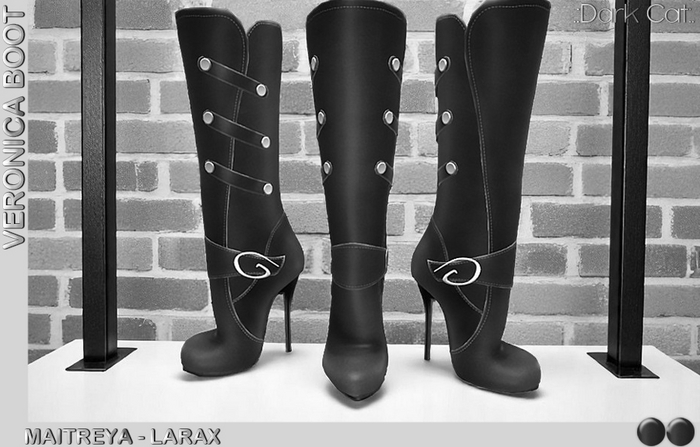 *.:Dark Cat:.*SS-VERONICA BOOT MAITREYA+LARAX DEMO