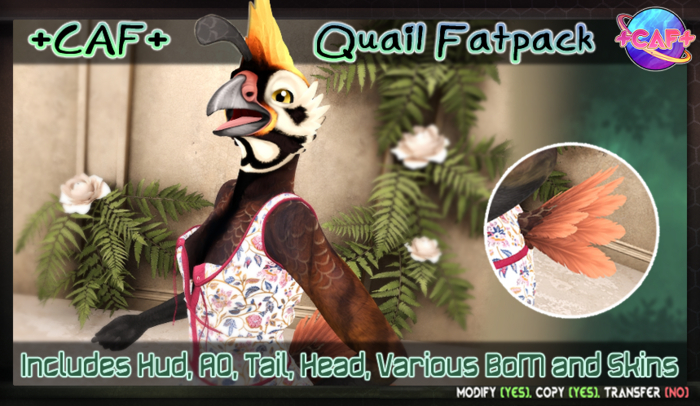 +CAF+ Quail Fatpack
