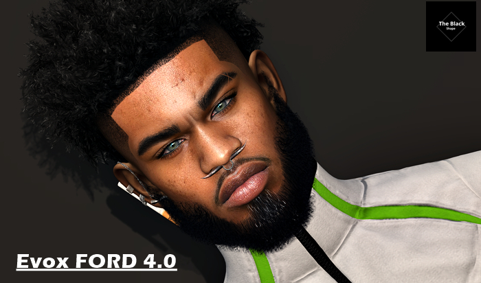 Shape Luther lel evox FORD 4.0