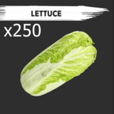 MyStory Lettuce x 250