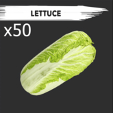 MyStory Lettuce x 50