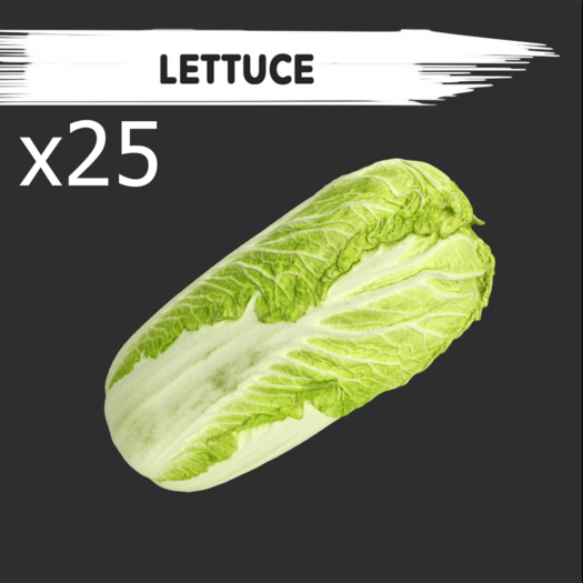 MyStory Lettuce x 25