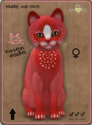 KittyCatS Box - Confetti - CherryBerry Female