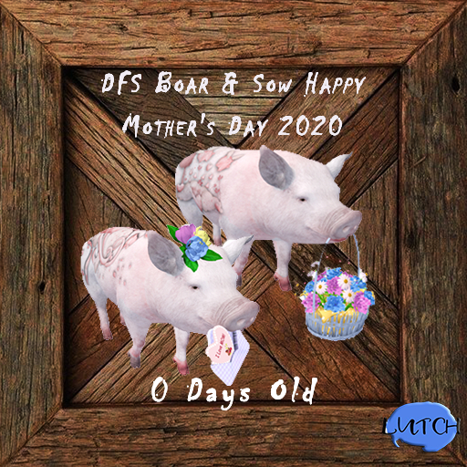DFS Boar & Sow Happy Mother's Day 2020