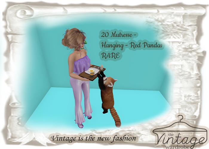 20 Mutresse - Hanging - Red Pandas RARE - GATCHA - GACHA 