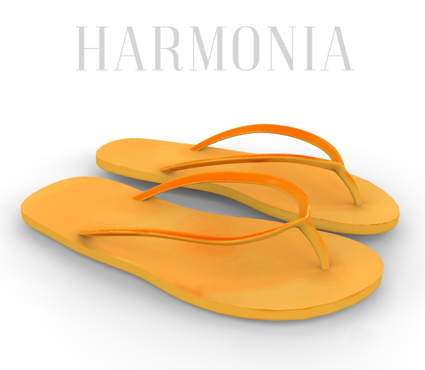 Orange Flip Flops Legacy