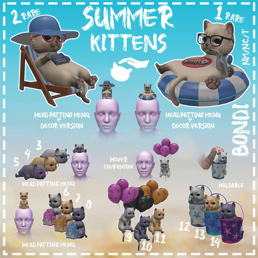 3 Shades Kitten White - Summer Kittens - BONDI