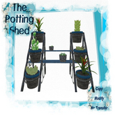 [TPS] Simply Succulents