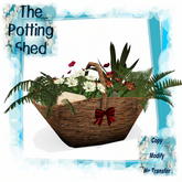 [TPS] Log Basket Arrangement