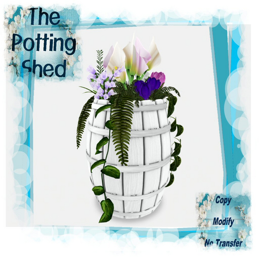 [TPS] Barrel Into Spring White