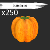MyStory Pumpkin x 250