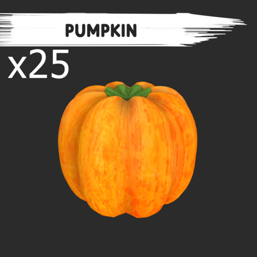 MyStory Pumpkin x 25