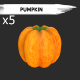 MyStory Pumpkin x 5