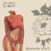 B&B: Bonnie lace shirt (terra cotta)