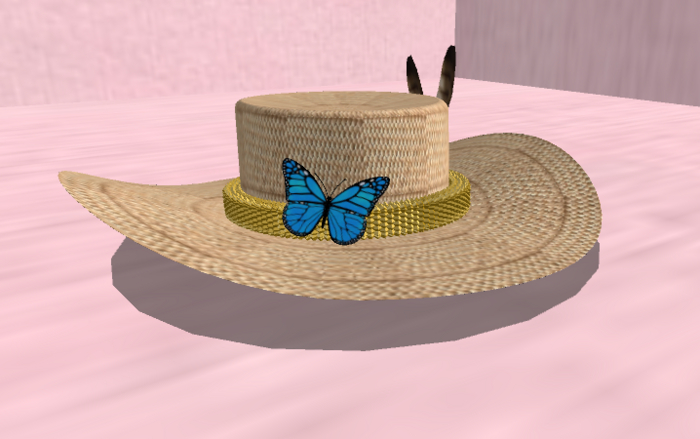 women's straw hat