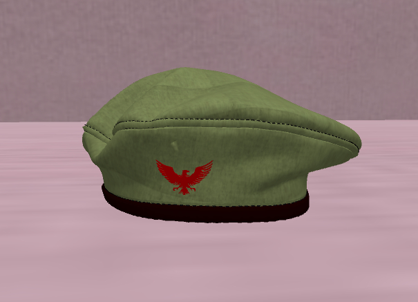 military beret T2