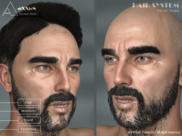 Hair System for Jay Avatar