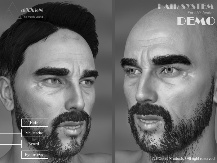 Hair System for Jay Avatar DEMO