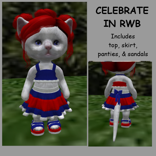 NN Dinkies Skirt & Top RWB