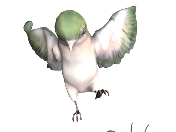 6){anc} forget. Swallow [leafgreen]