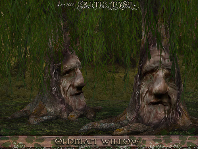 Fantasy Forest Collection - OldMan Willow - Carved-Face Willow Tree 