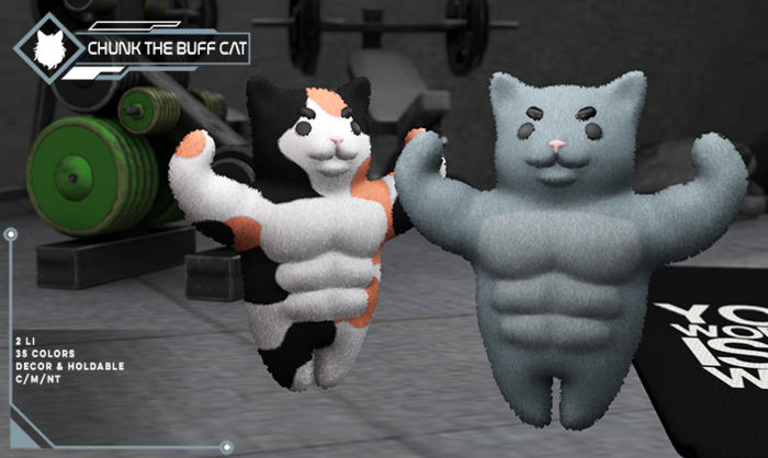 Anomaly - Chunk the Buff Cat 