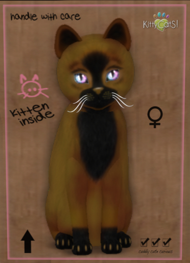 KittyCatS Box - Faux Puff - Chai Latte 8T (female)