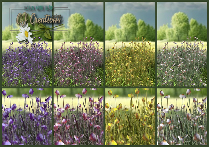 CJ Wild Daisy Patch on Grass 4er Set