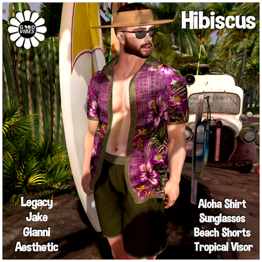 GoodVibes Hibiscus Kalo Set