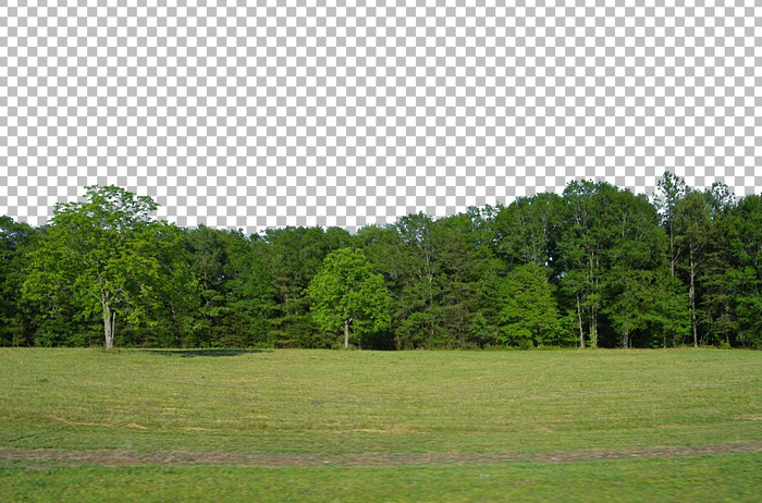1124 - Summer - Green Trees and Grass - Land Divider - Privacy Screen 2x