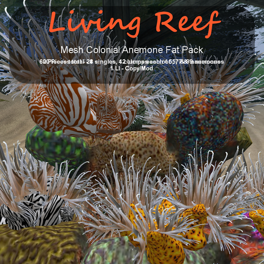 Inochi Reef - Mesh Colonial Anemone Fat Pack
