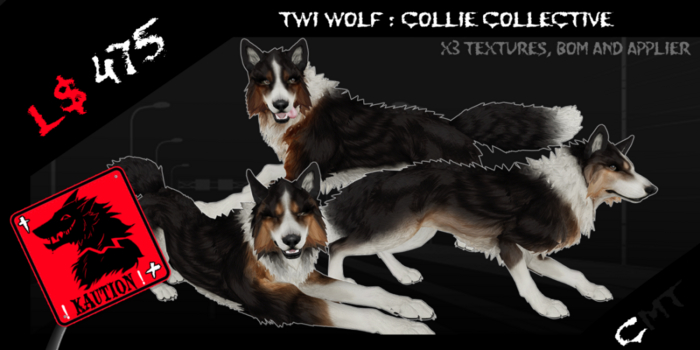 KAUTION! // Twi Wolf : Collie Collective