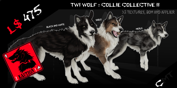 KAUTION! // Twi Wolf : Collie Collective II