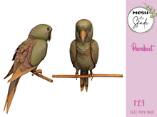 MBS - Parakeet 