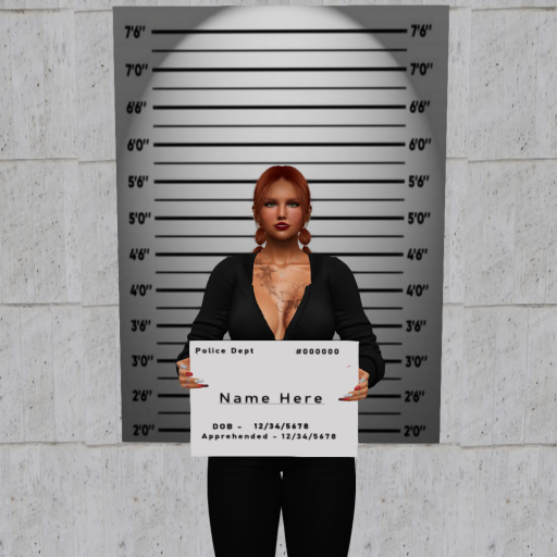 Ravenwood Emporium - Mug Shot Set Static Poses
