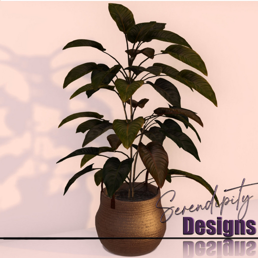 Serendipity Designs - Hidalgo BR Planter Basket